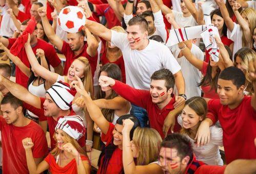 2026世界杯:全球足球盛典,球迷激情朝圣之旅 2026世界杯:全球足球盛典,球迷激情朝圣之旅